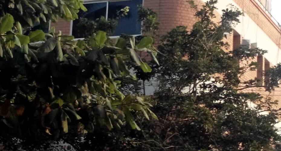 J P Lodge Inn, Mysore 1